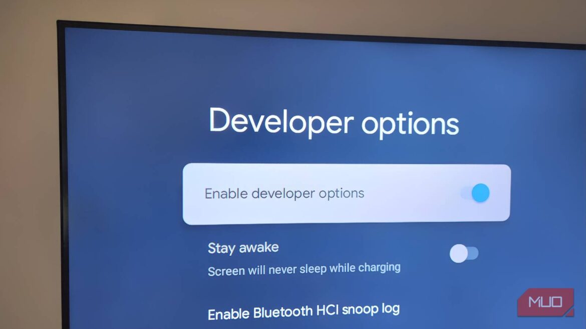 I unlocked Developer Mode on my Android TV and made it noticeably more responsive