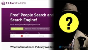 Best Online Background Check Verification Tools