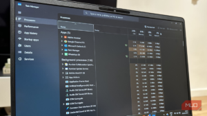 I stopped using Task Manager once I found what Windows hides from it