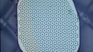 Max Hodak’s Science Corp. is preparing to place its first sensor in a human brain